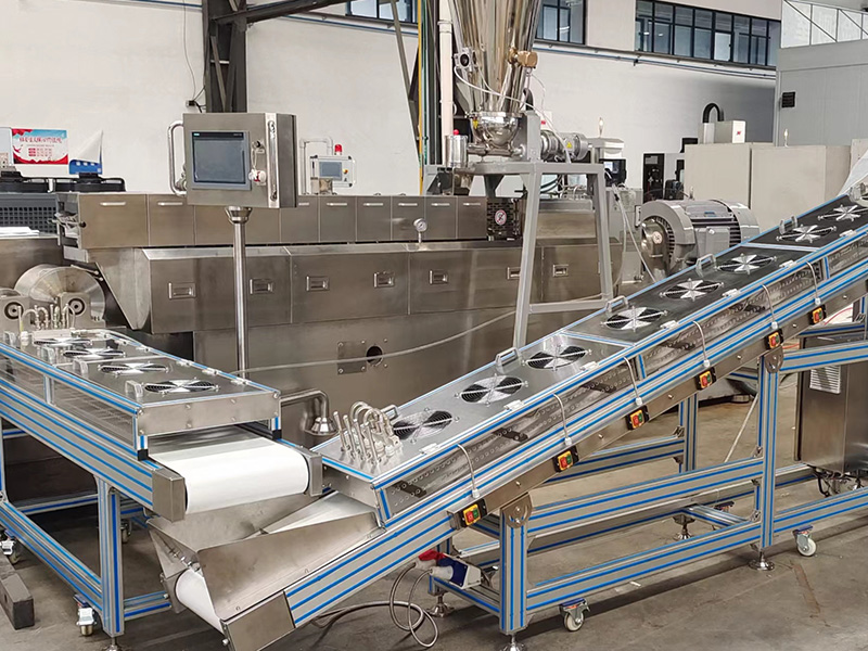 Special-extruder-for-pharmaceutical-hot-melt2